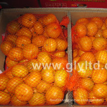 New Crop Chinese Fresh and Good Quality Mandarin Orange
